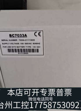 台州设备BC7033A充电器发电机电池充电器