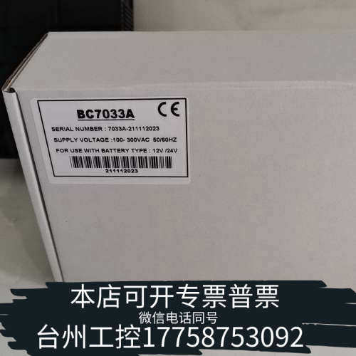 台州设备BC7033A充电器发电机电池充电器