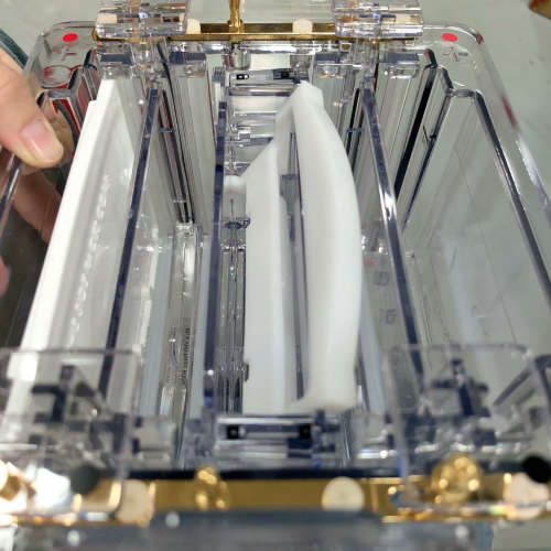 台州设备invitrogen 电泳槽，XCell4 SureLock