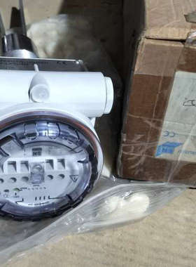 台州设备Endress+Hauser Soliphant T音叉