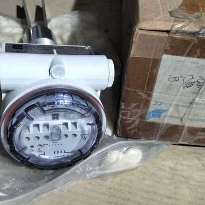 台州设备Endress+Hauser Soliphant T音叉