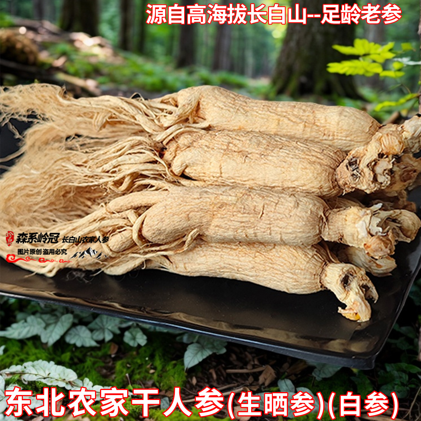 长白山优质整枝干人参生晒参白参整支新鲜煲汤泡酒炖鸡代切片打粉