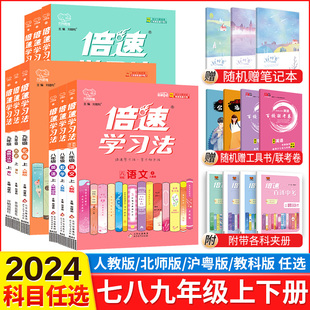 2024倍速学习法七年级八年级九年级上册下册语文数学英语物化政治历史地理生物人教北师大版 初一初二初三七上八上九下同步教材解读