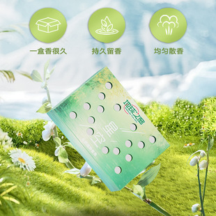星空车载植物香膏空气清新剂空气净化香薰盒装 去异味车内持久留香