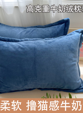 牛奶绒枕套冬季单人内胆套48X74加大50X80枕芯套40X60珊瑚枕头套2
