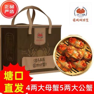 南京高淳固城湖大闸蟹鲜活特大螃蟹去绳净重4两全母蟹6/8只礼盒