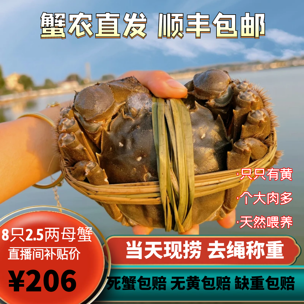 南京固城湖大闸母2.5两8只