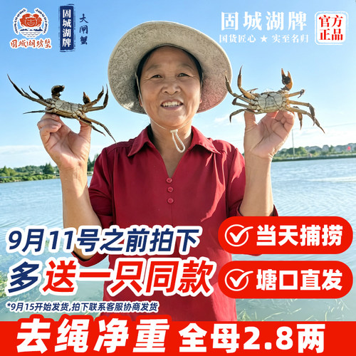 礼盒装固城湖大闸蟹鲜活现捕现发