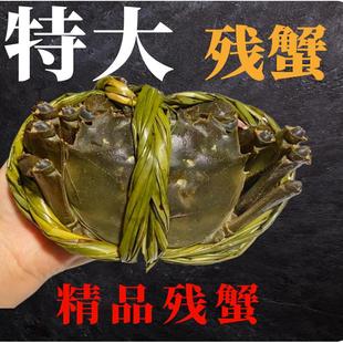 断腿断脚蟹固城湖大闸蟹特大残次鲜活螃蟹母2.9 4.2两 3.3两公3.8