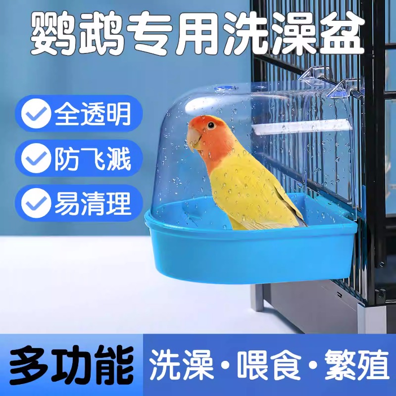 鸟用洗澡盆大号鹦鹉文鸟八哥画眉