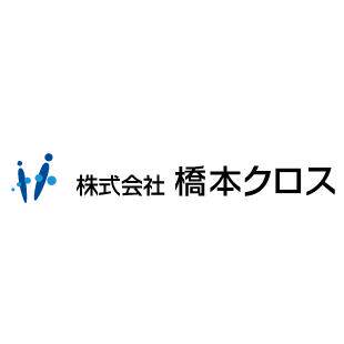 桥本 L100100 L10050 L2020 L3030 L4040 S-2 S-1 HSST-60
