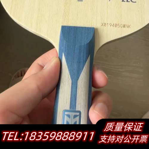 蝴蝶波尔zlc，波Z；议价