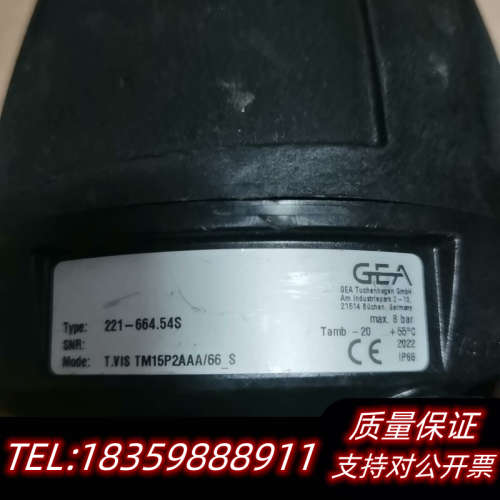 GEA阀门控制头TM15P2AAA/66_S  类型：2议价