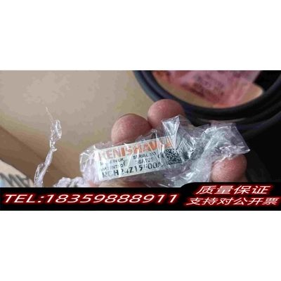 全新库存RGH24Z15F00ARGH24需询价