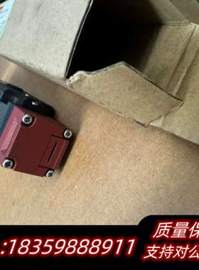 SAFETYMAN 电磁锁安全门开关SFEL-K-EVCP议价