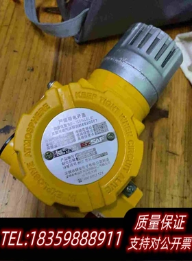 全新库存特安ES2000T可燃气体检测仪可燃气体探测器、需询价