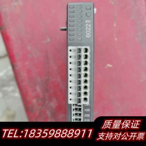 模块R1-EC6022D0   少了端子，议价