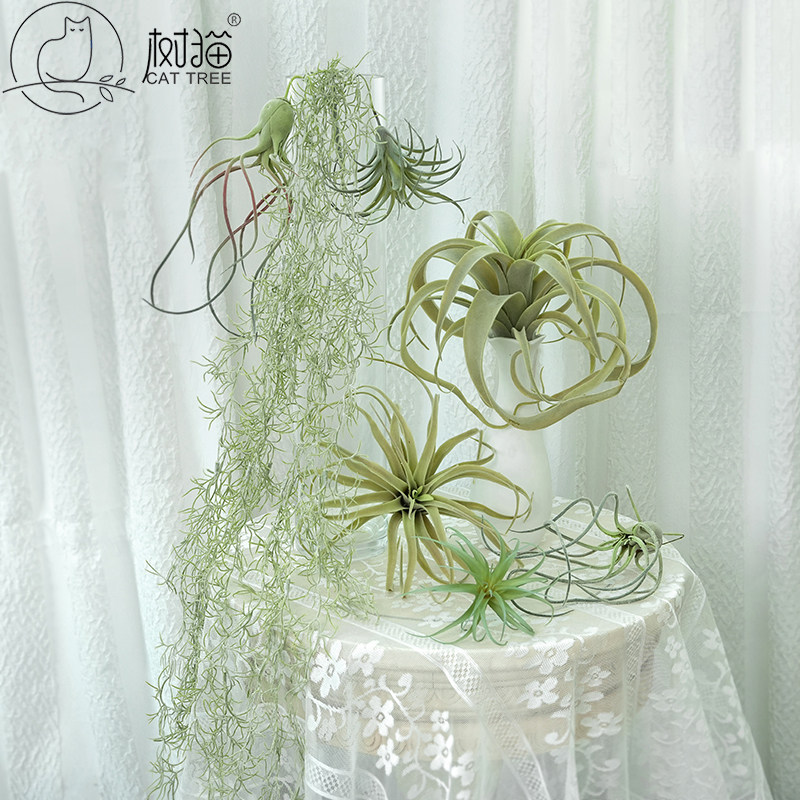 10款仿真多肉植物植绒空气凤梨塑胶空气草绿植背景墙花艺插花环保,鲜花速递/花卉仿真/绿植园艺,仿真绿植,淘宝优惠券,粉丝福利购,淘宝优惠卷