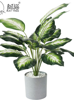 新款仿真大叶子植物盆栽18叶白色万年青植物墙装饰假花草源头厂家