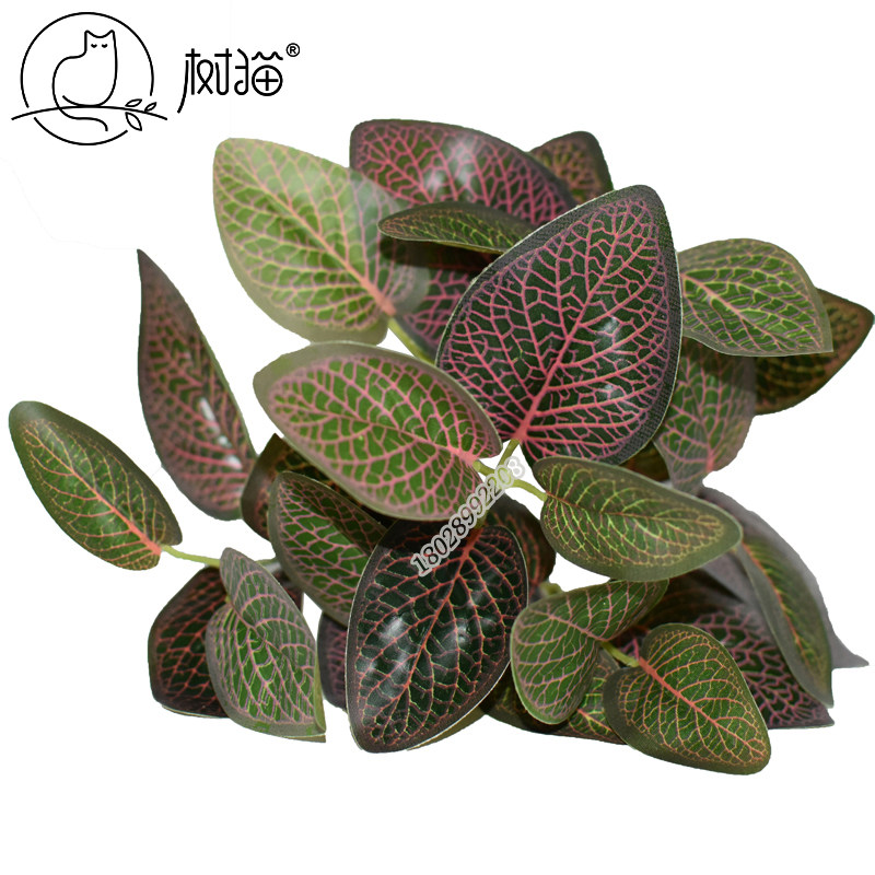 树猫仿真绿植小盆栽7头红色网纹草客厅假草装饰桌面摆设盆景植物