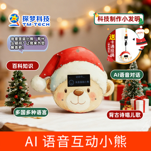 圣诞手工diyAI语音互动小熊科技小制作益智拼装对话陪伴人工智能