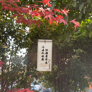 新品小舟从此逝香薰片苏轼古风诗词车用香片东坡文创周边挂件挂饰