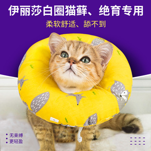 伊丽莎白圈猫咪头套猫用软圈防舔咬幼猫小猫伊利沙白伊莉莎白可爱