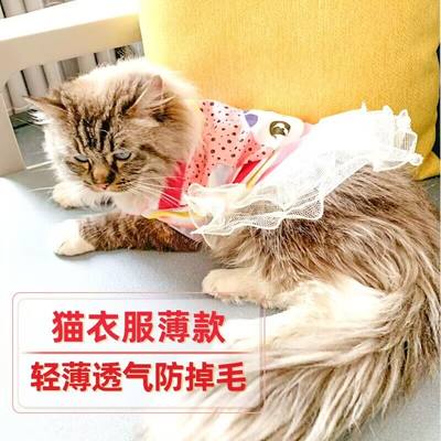 猫咪衣服夏季薄款防掉毛