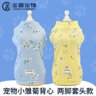 姜露宠物猫咪衣服可爱网红无袖 布偶猫公主背心橘猫过新年服装 薄款