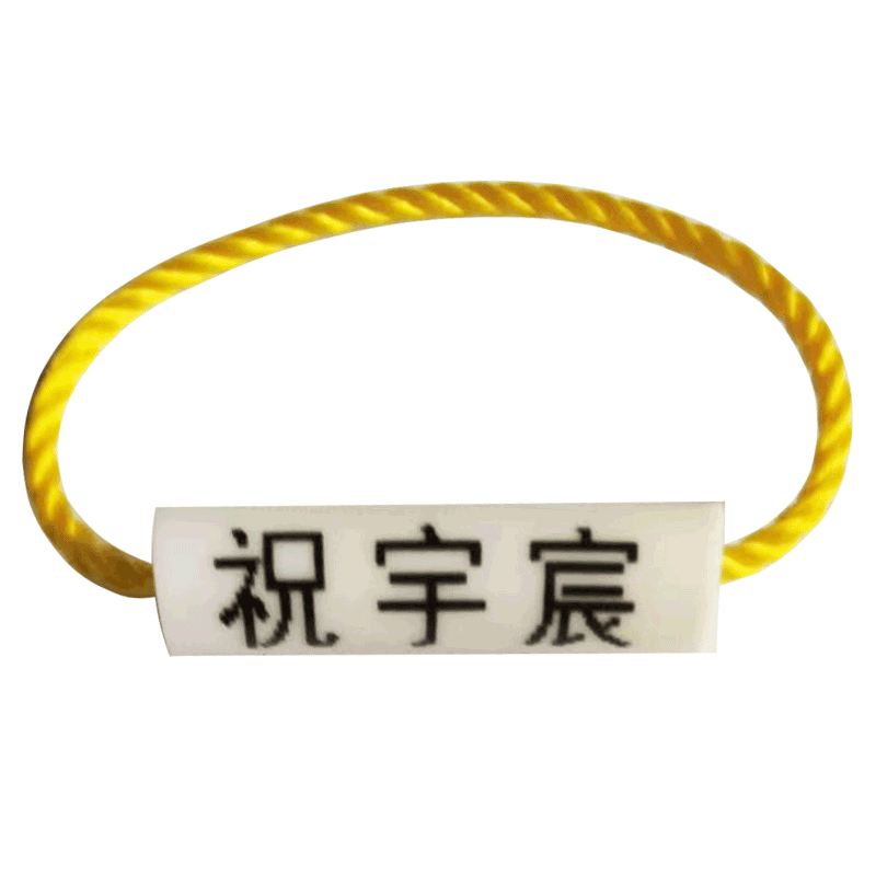 儿童宝宝防水免缝学生入园名字贴