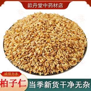 柏子仁中药材正品散装炒熟优选去壳柏子仁油性足大粒柏籽仁茶粉