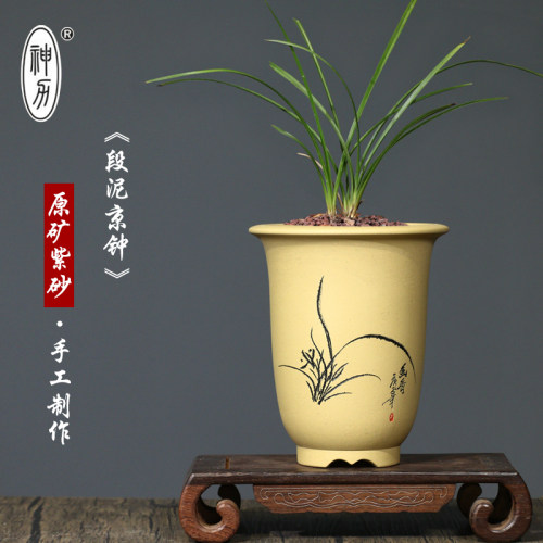 绿植室内盆栽大文竹素材模板 绿植室内盆栽大文竹图片下载 小麦优选