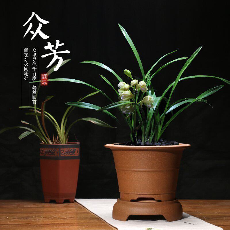 紫砂花盆个性古典精品手工马晓艳制作老黄金段泥兰花绿植花盆