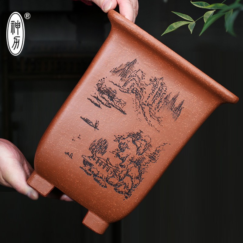 神力君子兰绿萝高精品四方花盆