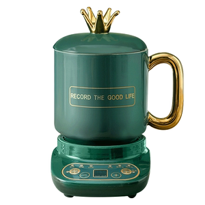 多功能养生壶迷你煮茶器养生电热杯子陶瓷电炖杯电炖锅煲汤煮粥锅