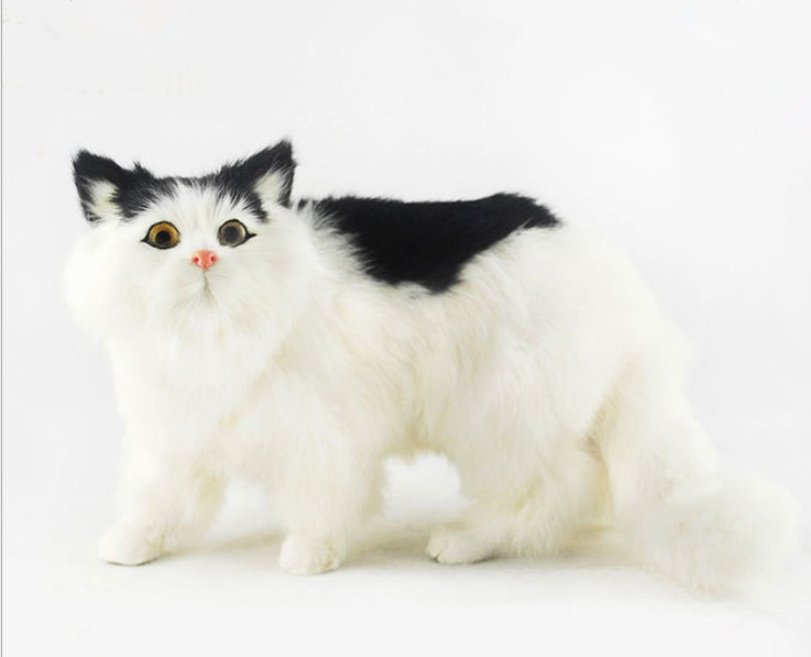 动物模型 仿真猫 宠物漫步猫 猫咪 波斯猫 摄影教科道具