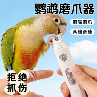 鹦鹉磨爪器电动磨嘴器磨啄指甲剪虎皮牡丹小鸟专用清洁刷神器用品