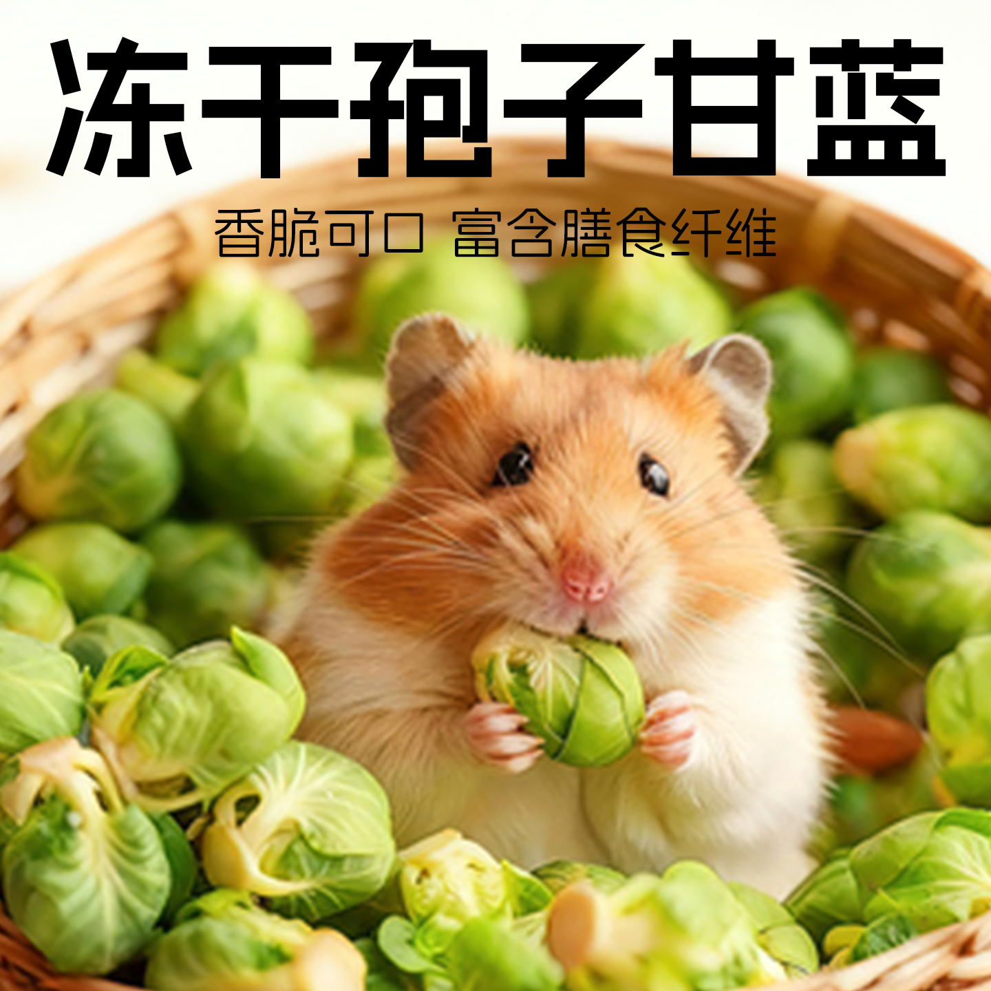 仓鼠零食粮食孢子甘蓝冻干蔬菜