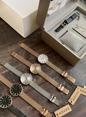 英国ADEXE英伦简约大表盘凹陷经典罗马轻奢钢带学院女士手表