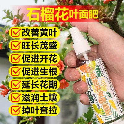石榴花专用肥料小盆栽养护植物营养液叶子焦尖发黄掉落喷施肥肥料