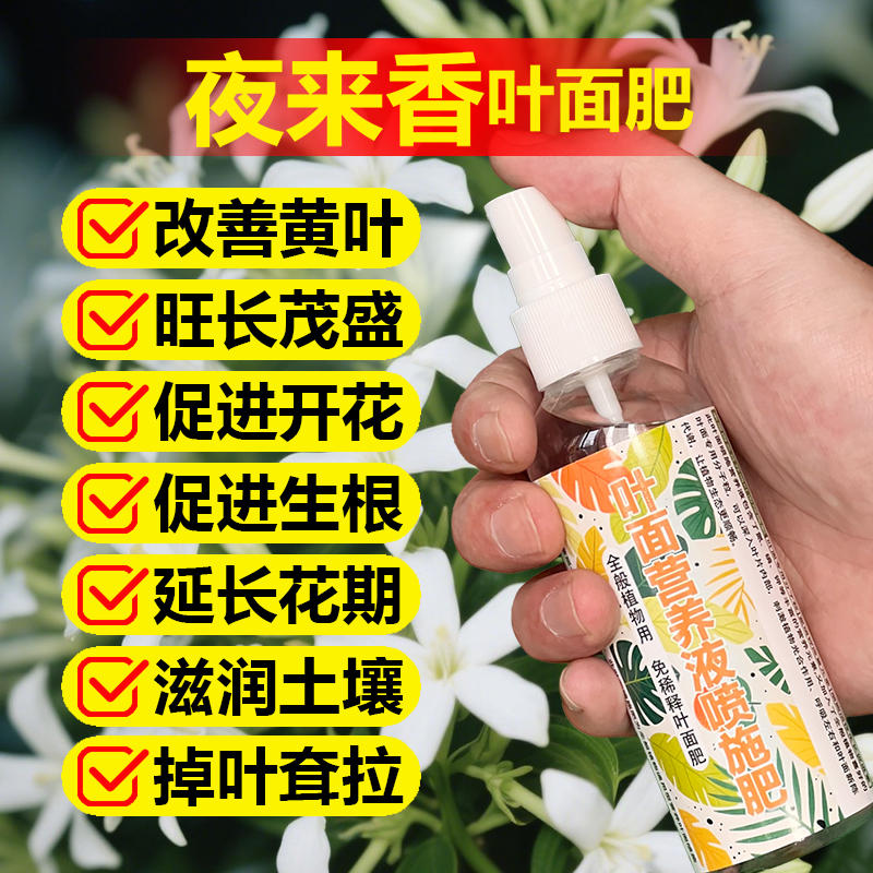 夜来香专用肥料养殖花苗盆栽树苗营养液落叶干尖发蔫卷曲叶面肥料