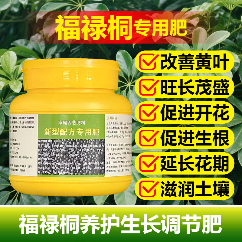 福禄桐专用肥料盆景绿植羽叶福禄桐树苗老桩土培盆栽营养液花肥料