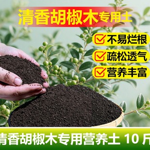 清香胡椒木专用土料盆景盆栽土培营养土发黄掉叶下垂叶子枯萎家用