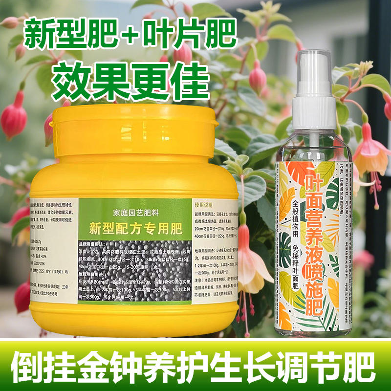 倒挂金钟专用肥料盆栽营养液叶子蔫卷焦尖发黄干枯叶斑掉叶花肥料