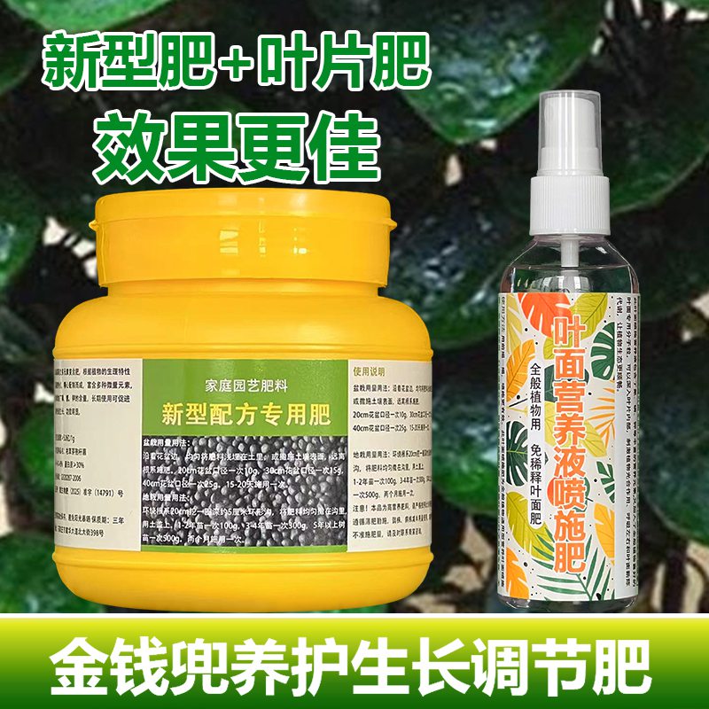 金钱兜专用肥料盆栽变黄脱落焦边斑室内植物营养液圆叶福禄桐肥料