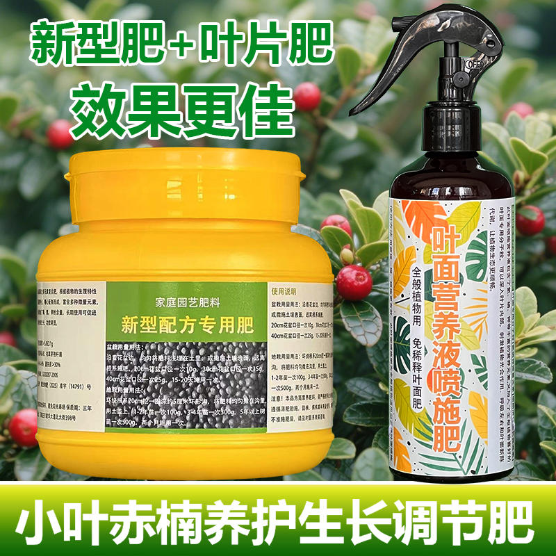 小叶赤楠专用肥料盆景植物营养液防叶尖枯萎发黄焦黑卷曲斑点肥料