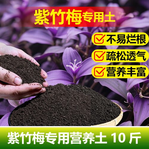 紫竹梅专用土料小苗盆栽绿植水培土培紫竹梅吊兰营养土花卉土家用