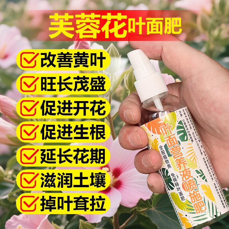 芙蓉花专用肥料养殖盆栽树苗三醉芙蓉花树营养液叶面肥水溶化肥料