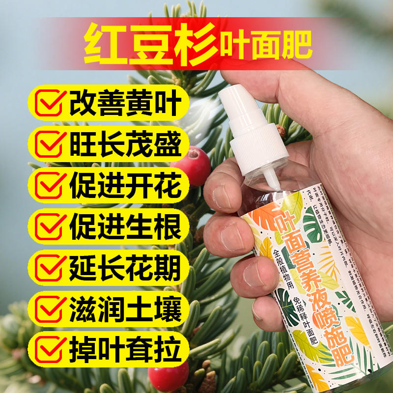 红豆杉专用肥料种植盆栽红豆杉树苗土盆景营养液叶面肥水溶化肥料