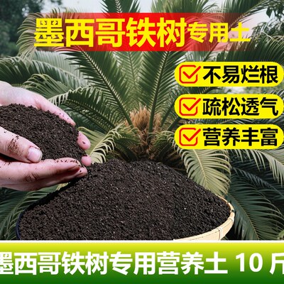 墨西哥铁树专用土料盆栽土营养土旺长茂盛促使发芽促长新种植家用